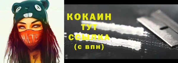 стафф Богородицк