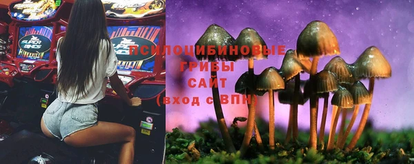 стафф Богородицк